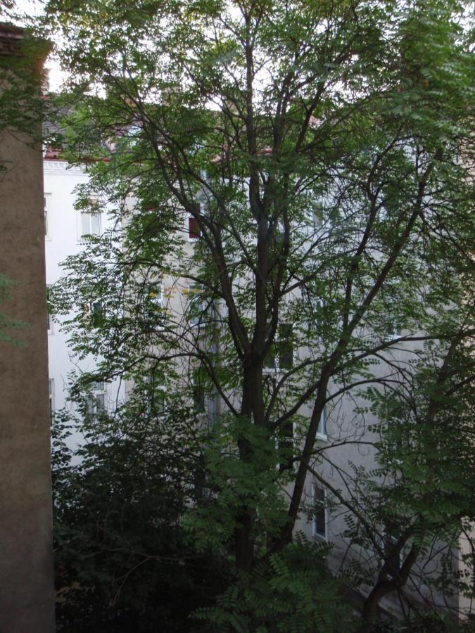 Augartenblick Penthaus 17 - Blick Zum Riesenrad Vienne Extérieur photo